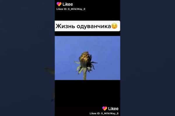 Кракен сайт в тор браузере